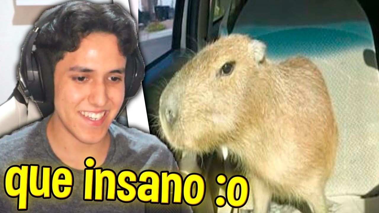 Tiktoks INSANOS 👻