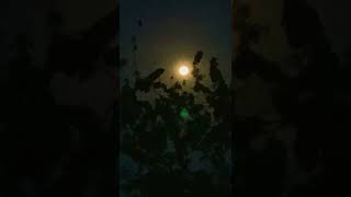 The Moon Zoom..!! #Travel #Nature #Cinematic #Shorts
