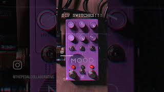 “No Dub” DIP Switch magic on the @ChaseBlissAudio  Mood Mkii #stereo #hidden #nodub #dipswitches