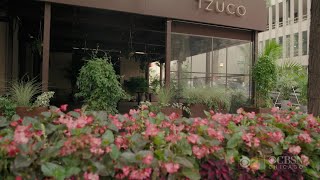 Hispanic Heritage: A  Tableside Conversation At Tzuco Restaurant
