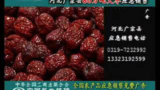 2007 05 19 CCTV7 傍晚广告