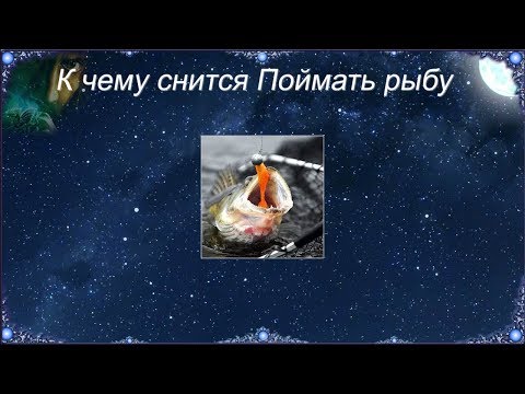 К чему снится Поймать рыбу (Сонник)