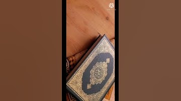 سورة المسد ترتيل surah al masad