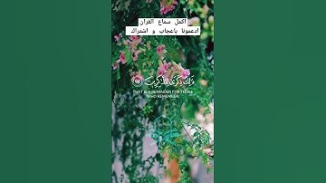 قران كريم| إن الحسنات يذهبن السيئات #قران_كريم #قرآن #quran #آيات #حالات