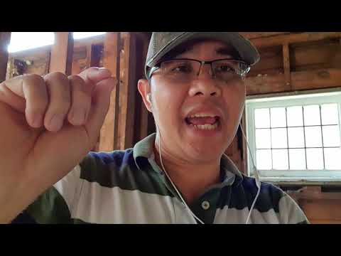 Video: Làm thế nào để tôi chạy cat6 trong nhà của tôi?