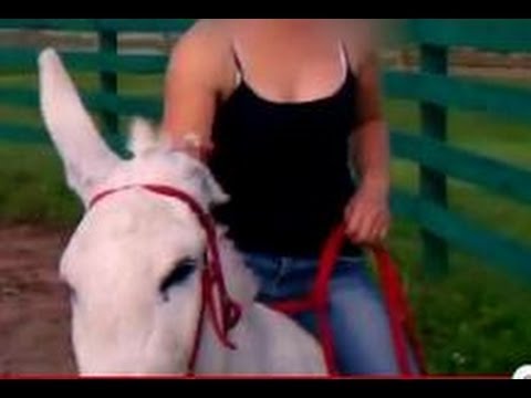 Girl Riding Bareback Horse/Donkey