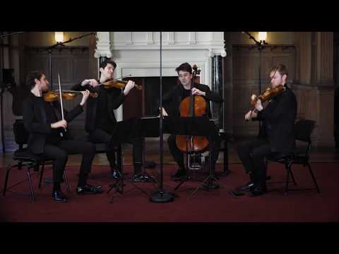 Mozart - String