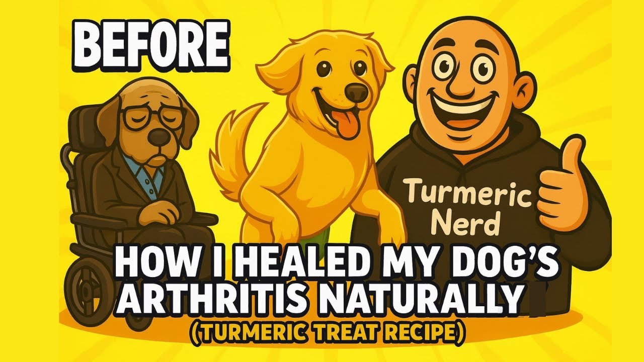 How I Healed My Dog’s Arthritis Naturally (Turmeric Treat Recipe)