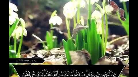 حالات دينية قصيرة 😴 - بصوت محمد النقيب🌴من المُؤمنين رجالٌ صدقوا❣- حالات واتس اب قران 💙 - تلاوة خاشعة