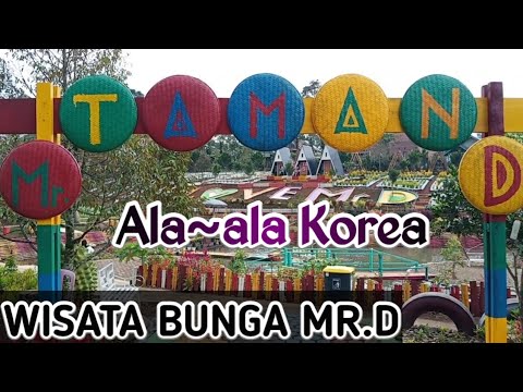  TAMAN  BUNGA  Mr D Ala Korea WiSATA PAGARALAM  VLOG4 YouTube