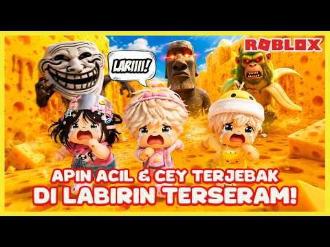 APIN, ACIL, AND CEY LOST IN THE SCARY BRAINROT LABYRINTH! @Acilpinkyboy @Ceyyi1234 Roblox