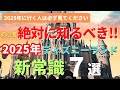 【ディズニーランド】2025年最新版。初心者はほぼ知らない。パークの新常識７選 今年行く人は必ず見てください