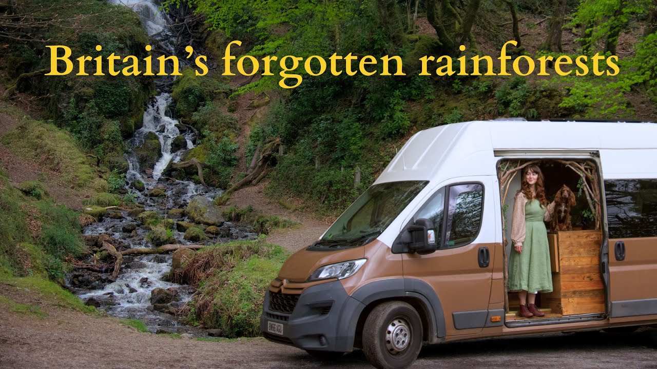 Van Life in England's Forgotten Rainforests
