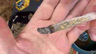 THCA Small Buds Dank Toad
