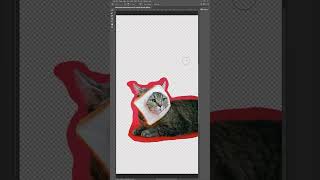 How To Remove a Background || Photoshop Tutorial shorts jerly photoshop