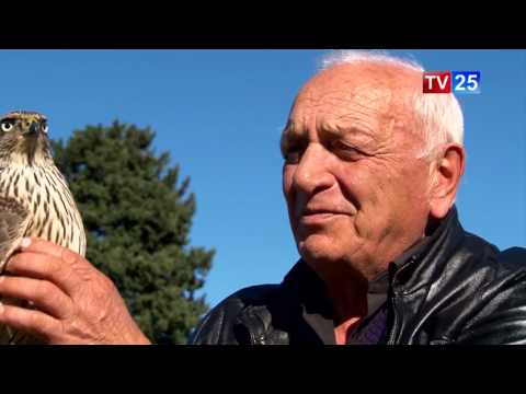 ბაზიერობის პერსპექტივა საქართველოში