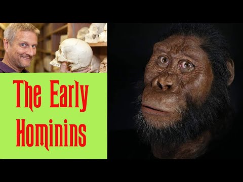 The Early Hominins