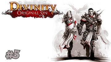 Divinity: Original Sin | Multiplayer Co-op | Part 5 | Fabulous Five!