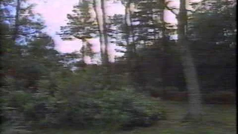 Christopher Robin Milne in CNN Ashdown Forest segm...