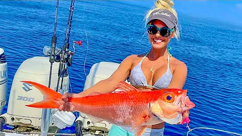 Deep Dropping For ELUSIVE Snapper feat. Bombchelle...