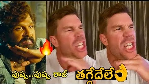 David Warner and Ravindra Jadeja saying Pushpa Pushparaj dialogue super