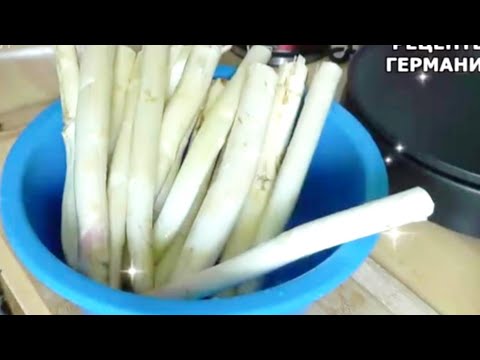 Video: Muslu Dodaqlar Necə Bişirilir
