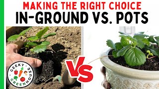 InGround vs. Container Gardening: Which Is Best?  Geeky Greenhouse