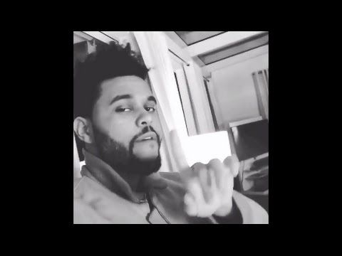 The Weeknd Bumping Lil Uzi + Concert (Travis Scott and Selena Gomez)