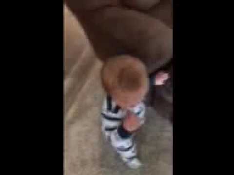 Atticus d IMG 4984 1