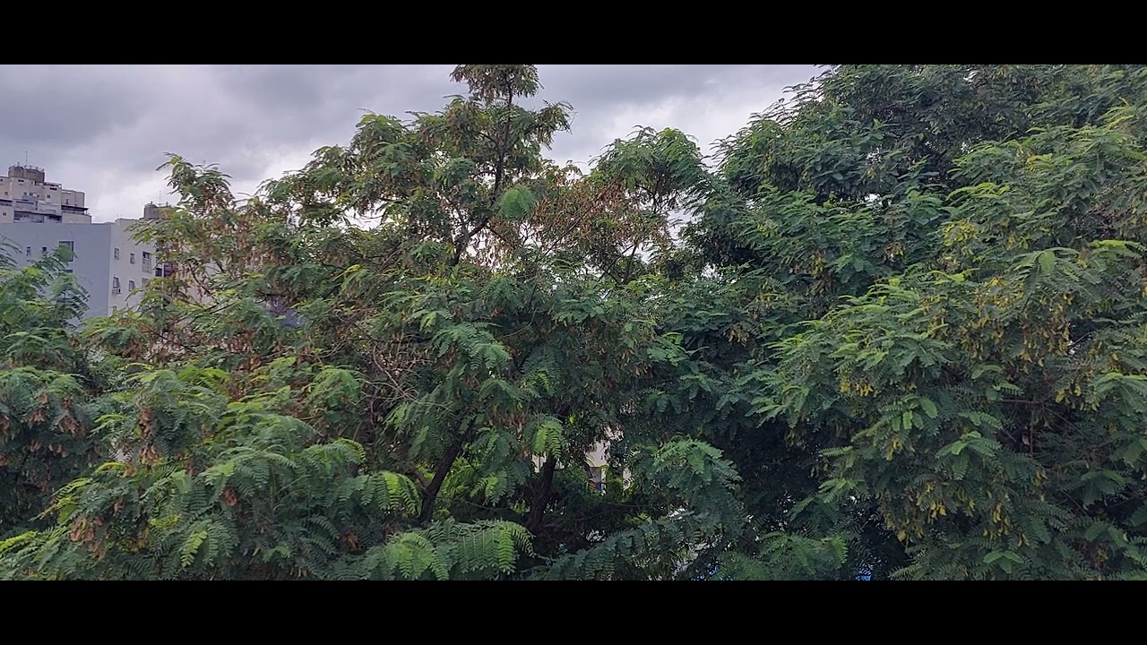 Palestinian Rocket Attack on Rishon LeZion, Israel - 7.10.24 - 