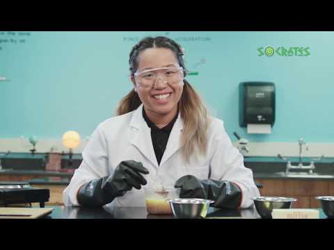 Socrates Science - 5PS12 Matter and Weight