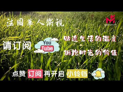 【精彩回顾】法国华人卫视经典节目集锦