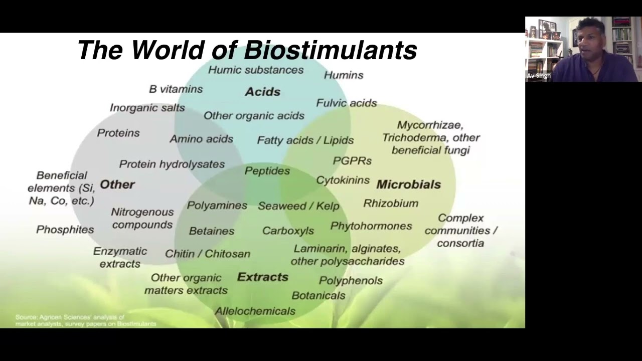 Biostimulants in Our Systems - Session 4