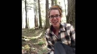 Discover at Home: Exploring Old Growth Forests