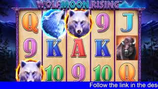 tangiers casino no deposit free spins screenshot 4