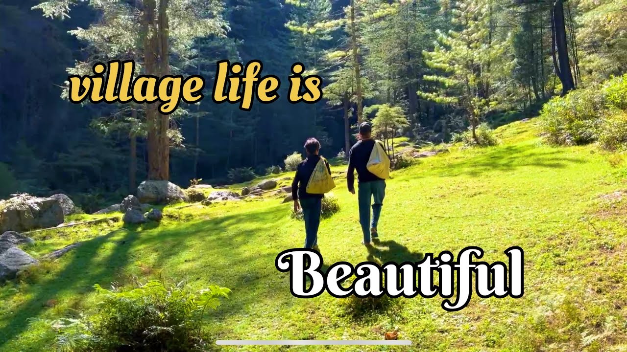 A Beautiful Day in village Daily life 