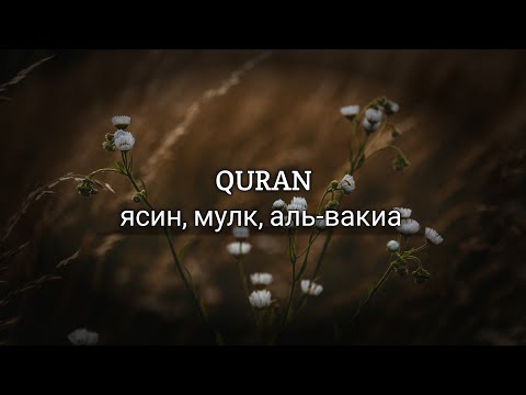 QURAN: Сура ясин, мулк, аль-вакиа /Красивое чтение Корана — Surah yaseen, al mulk, al waqiah❤🩹