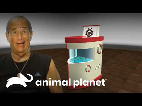 Commercial Tanks: Mobile and Fishing Structures | Deep in Hot Water | Animal Planet Brazil