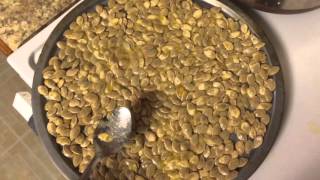 How to Roast Pumpkin Seeds - Salt and Butter Method
