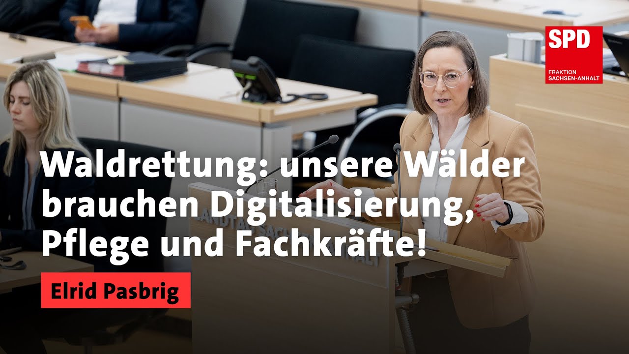 Waldrettung: unsere Wälder brauchen Digitalisierung, Pflege und Fachkräfte!