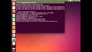 The Hosts File and NSSwitch