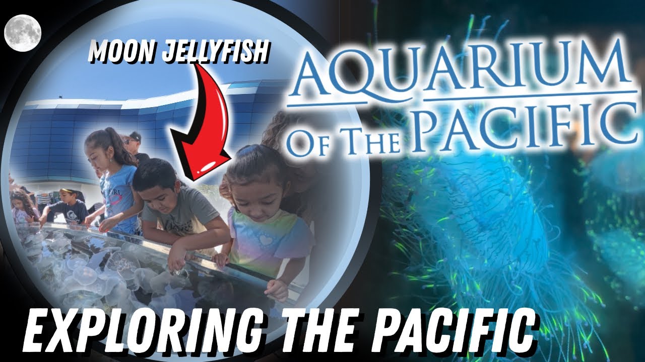 ИССЛЕДУЕМ ТИХИЙ ОКЕАН! Аквариум Тихого океана в Лонг-Бич, Калифорния — почему стоит посетить в 20...