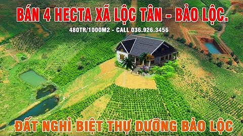Đất biệt thự nghỉ dưỡng Bảo Lộc, 480tr/1000m2 tại xã Lộc Tân, Bảo Lộc, Lâm Đồng
