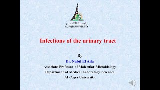 Lab 5   Infections of the Urinary Tract screenshot 2