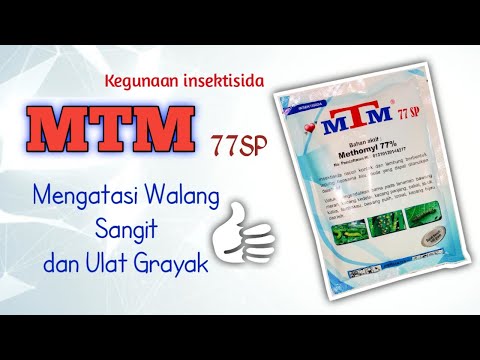 Video: Apakah maksud tip dalam MTM?