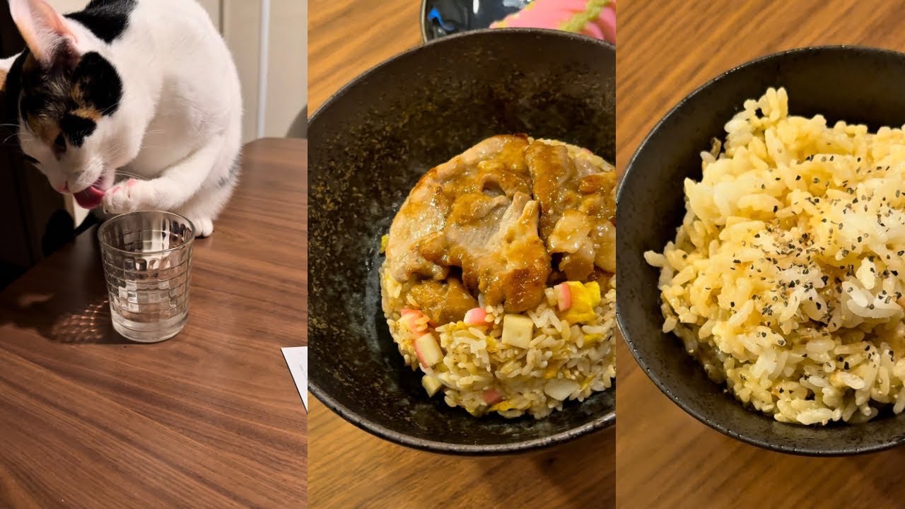 【男料理】オッサンの米料理10品とたまに猫⑤