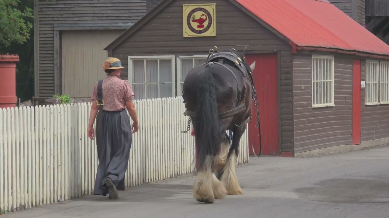 Shire Horse Blists Hill Victorian Town 🐴 8K