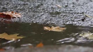 Craig Connelly Rain Radio Edit