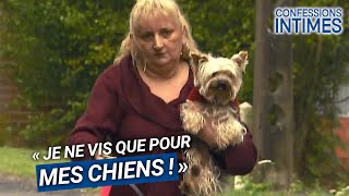 Mes chiens passent avant toi !