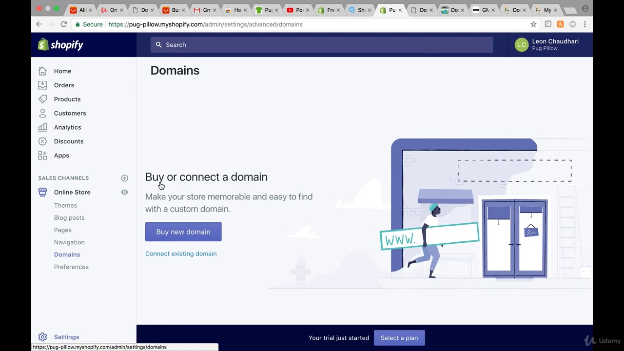 Shopify Dropshipping Business 2018 : Settings "General"